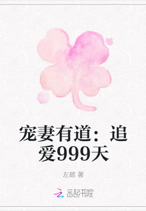 宠妻有道：追爱999天